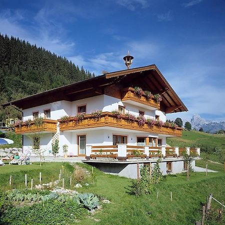 Ferienhaus Rosi Apartman Sankt Martin am Tennengebirge Kültér fotó